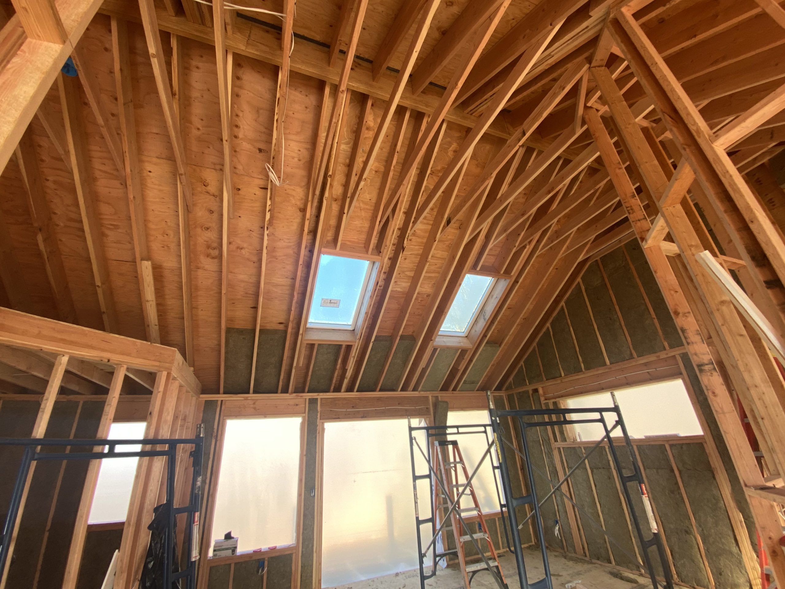 Roof Inspection detail